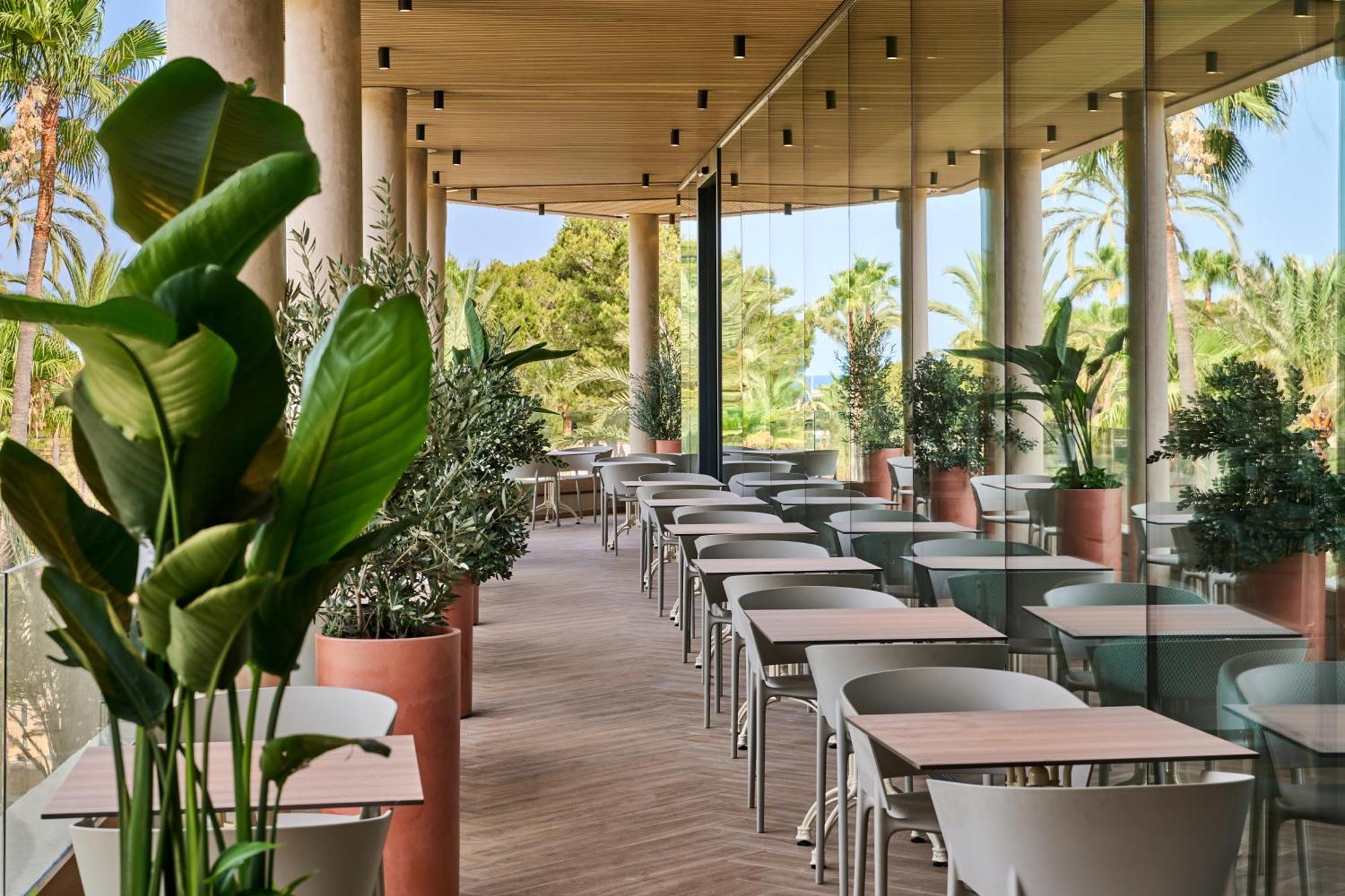 Grupotel Club Cala Marsal - New Reopening 2025